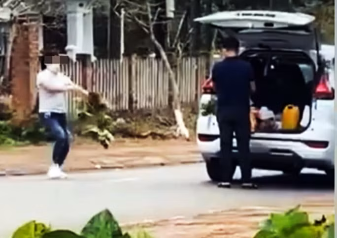 Mới đây, trên mạng xã hội xuất hiện video ghi lại hình ảnh một nữ du khách nhổ cây hoa cẩm tú cầu bên đường ở Măng Đen khiến nhiều người bức xúc.