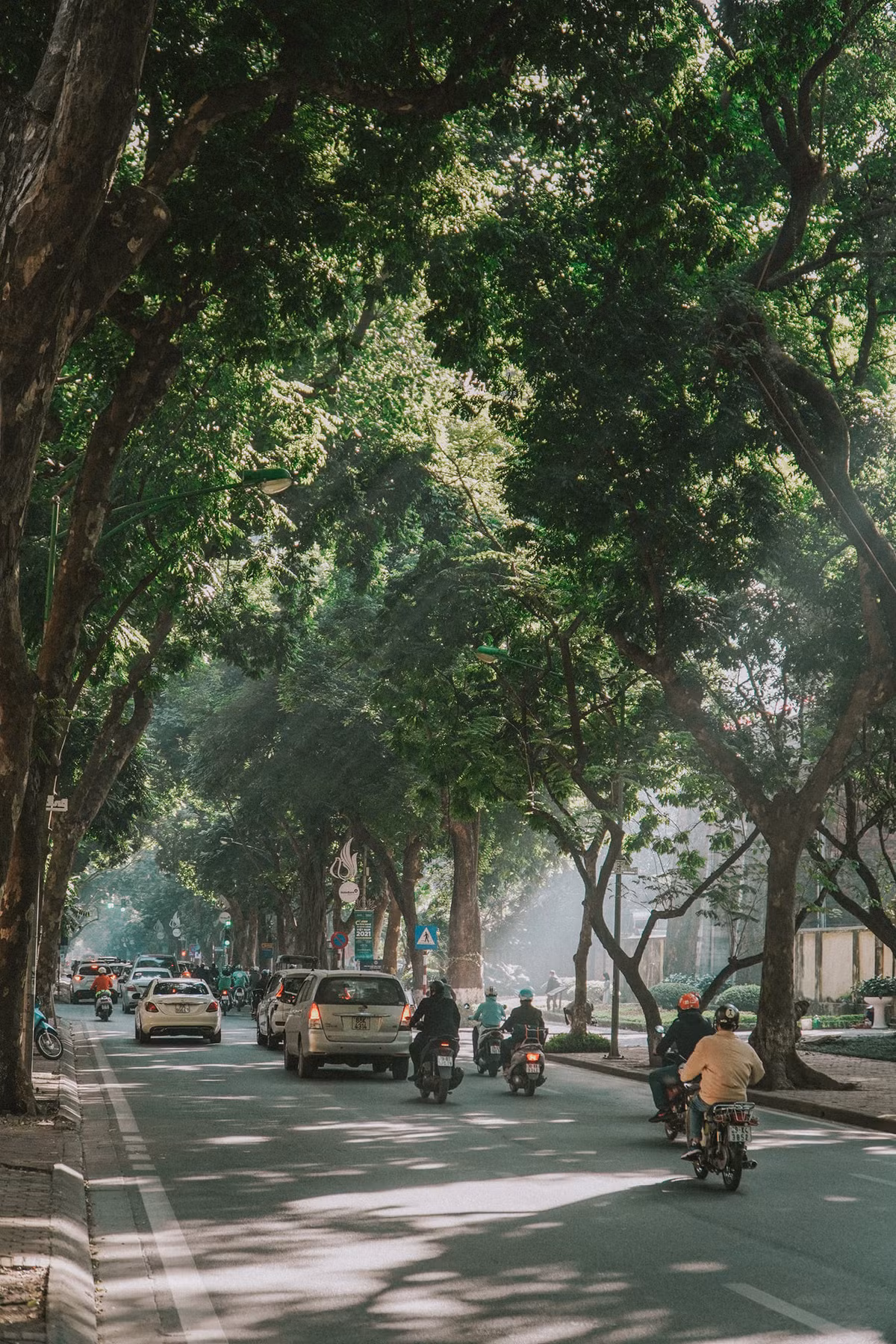 Vừa đẹp lại lãng mạn, con đường được mệnh danh như Hàn Quốc điển hình như đường Kim Mã, Phan Đình Phùng, con đường kéo dài từ khu biệt thự Tây Hồ qua khách sạn Tây Hồ, con đường Hàn Quốc ở khu Ngoại giao đoàn...cũng là điểm check in lý tưởng ngày Valentine.