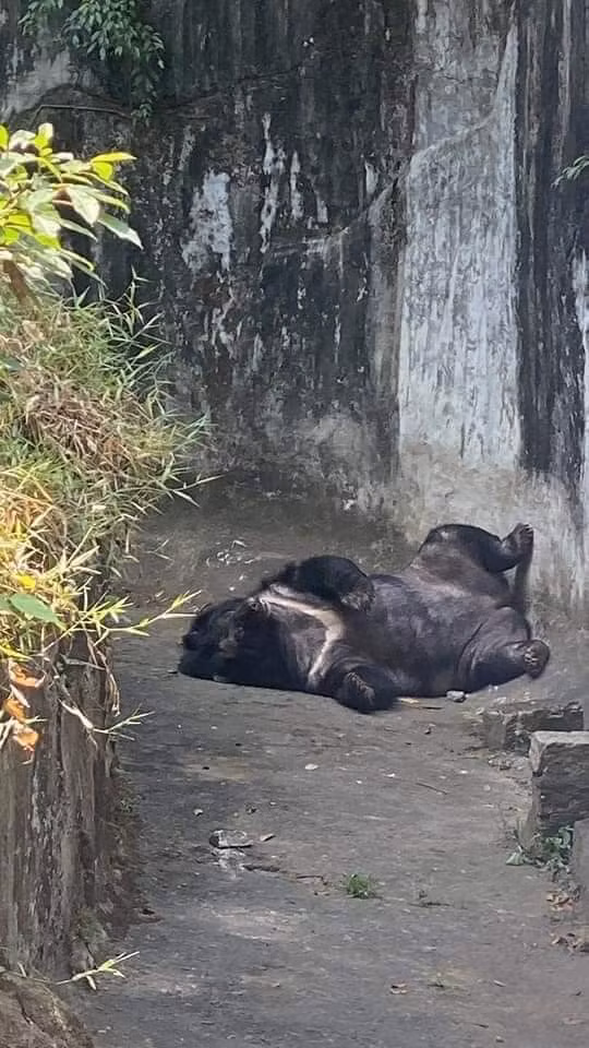 Ngay sau khi những hình ảnh này được đăng tải đã thu hút sự chú ý của rất nhiều người.