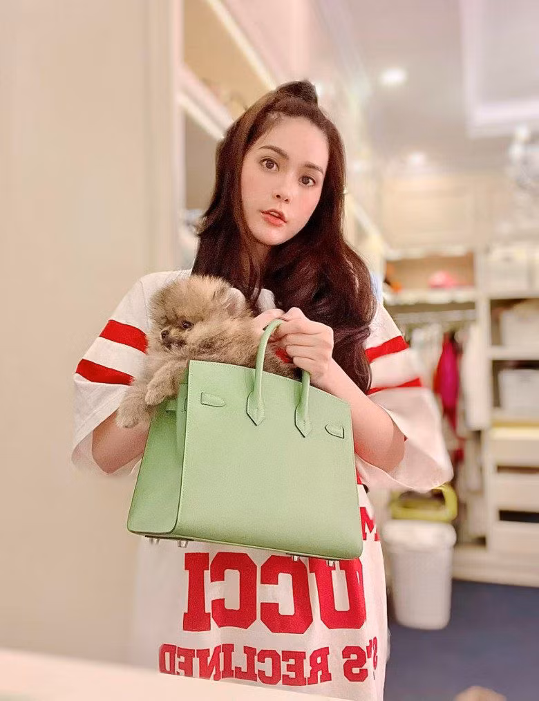 Cô còn khiến bao người "xót ruột" hơn khi dùng túi Hermes ngót nghét 400 triệu đồng để cho "người bạn bốn chân" của mình chui vào.