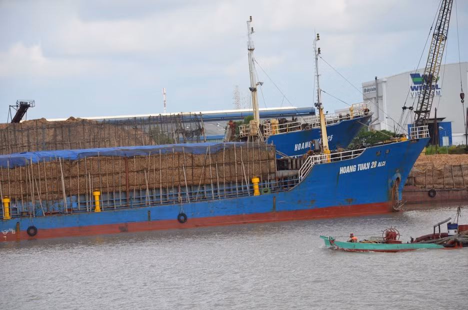 Cang vu DTND KV1 cap phep tau qua tai vi 