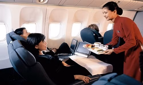 Ngoài ra, hành khách có thể đặt các xuất ăn đặc biệt trên máy bay hạng sang của Vietnam Airlines như: nhóm suất ăn chay, suất ăn theo tôn giáo, suất ăn theo bệnh lý.
