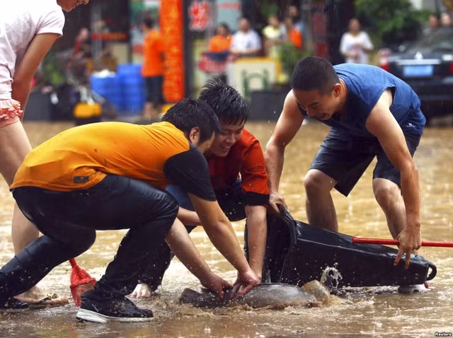 Bên cạnh các dịch vụ mùa mưa ngập, nhiều hoạt động kỳ lạ khác cũng diễn ra trên đường phố. Dễ dàng bắt gặp cảnh người người ra đường... bắt cá.