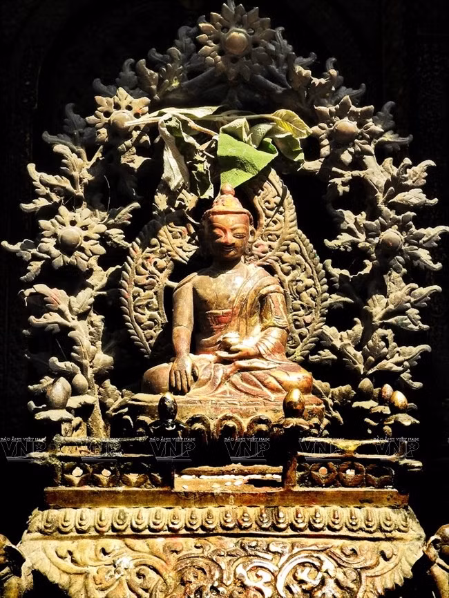 Ngan ngo lac vao mien dat Phat Nepal quyen ru, bi an-Hinh-2