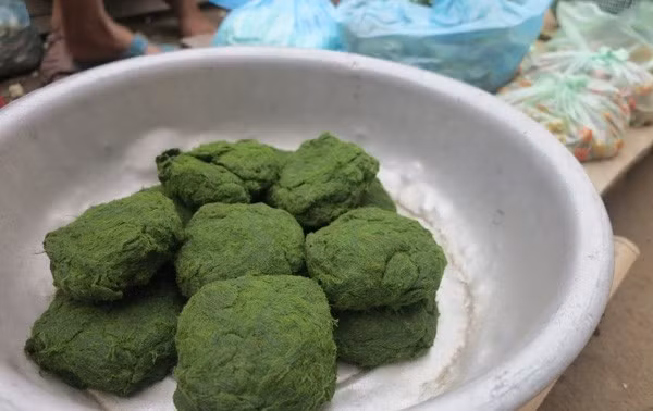 Rêu được chia thành 3 nhóm: “cui” - loại rêu mọc thành sợi như sợi tóc, màu hơi sẫm; “cay”- loại rêu có sợi mọc rời rạc màu xanh và “tau” - loại rêu mọc thành từng mảng ở sông Đà, ao hoặc các khe suối. Ảnh: Depplus