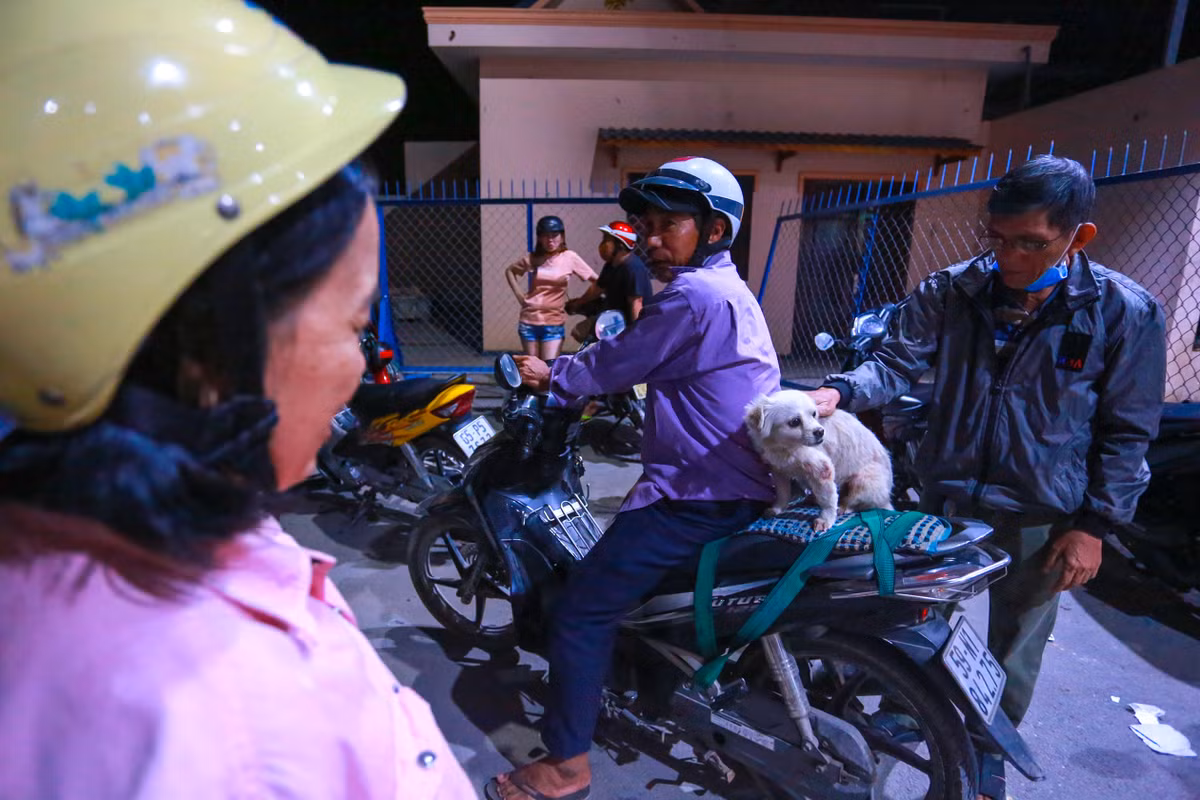 Không chỉ người mà thú cưng cũng được chủ nhân đưa tới để xem cùng.