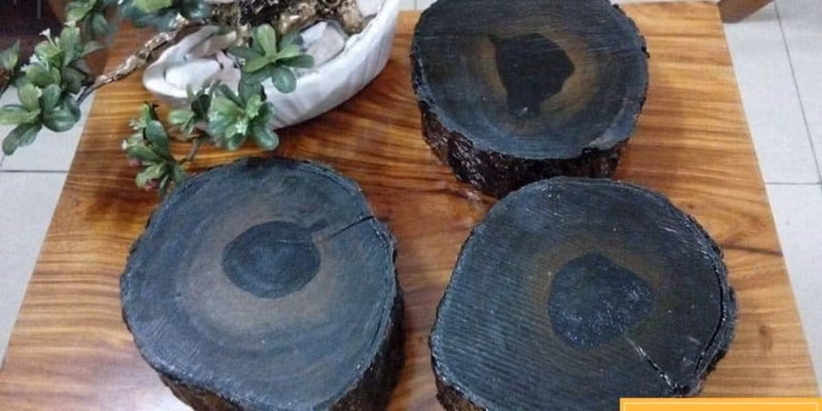 Gỗ mun là một loại gỗ quý hiếm có màu đen đặc trưng, mịn và bóng. Loại gỗ này có độ cứng cao, không bị mối mọt, không cong vênh và có khả năng chịu lực tốt. Gỗ mun cũng có mùi thơm nhẹ và dễ chịu.