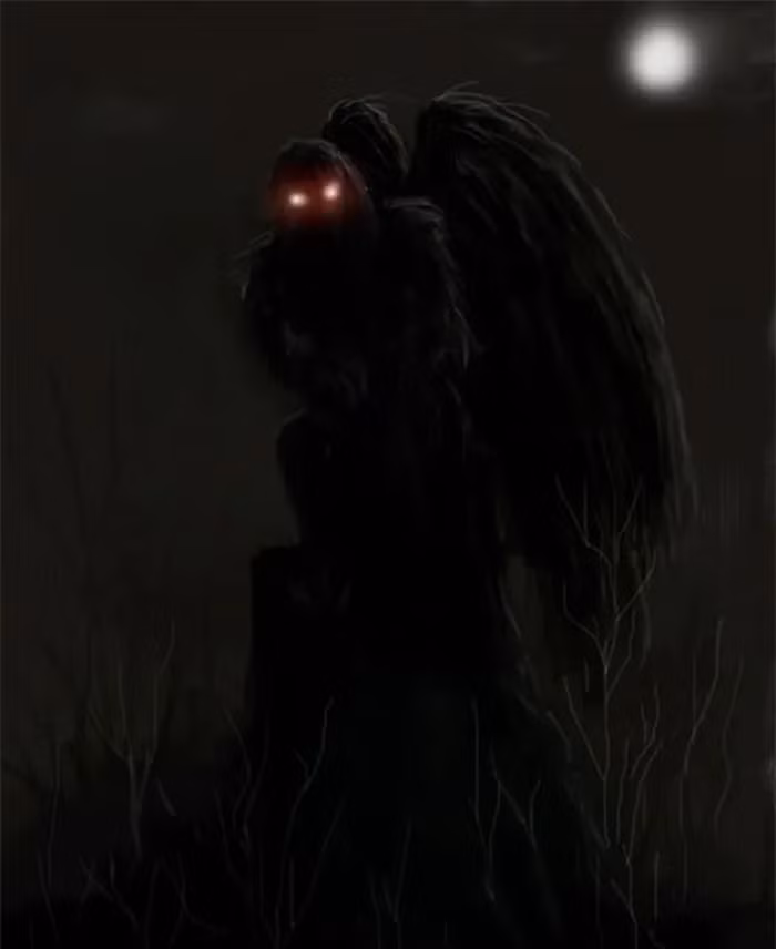 Các báo cáo về sự xuất hiện của Mothman tiếp tục tăng lên, đặc biệt quanh vùng Chicago. Một số nhân chứng kể lại mô tả về chiều cao, sải cánh và đôi mắt rực đỏ của sinh vật này. Tên gọi "Mothman" được chính thức đặt cho nó khi một người đàn ông mô tả chi tiết về sự gặp gỡ với sinh vật vào tháng 1/1970.
