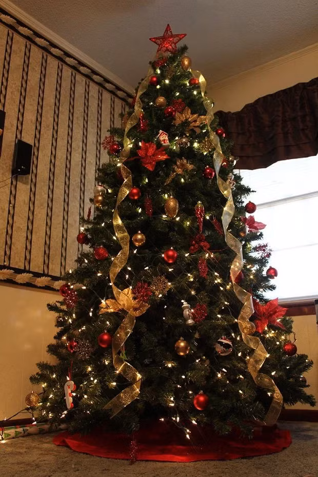 3. Sự ra đời của cây thông Noel: Cây thông Noel đầu tiên được dựng bởi Martin Luther, sáng lập đạo Tin lành. Luther bắt nguồn cảm hứng từ việc nhìn thấy vì sao sáng trên cánh rừng đen.