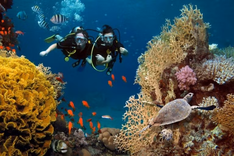 Một số loài san hô, như san hô đen ở Hawaii, có tuổi thọ lên đến 4.265 năm.