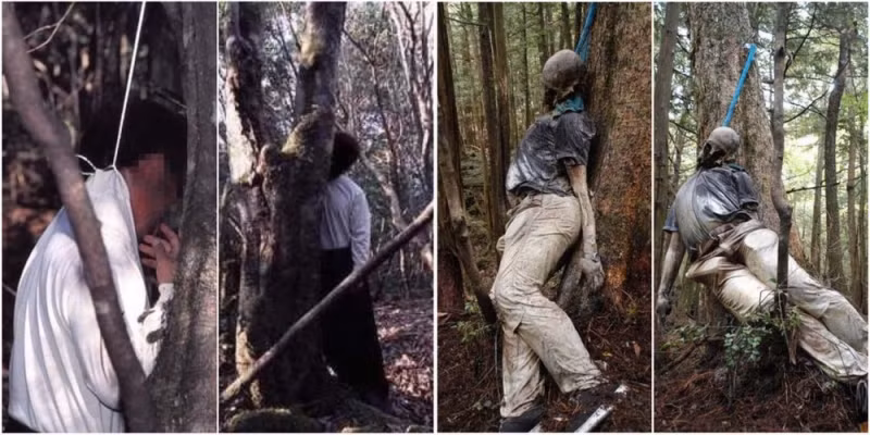 7.Khu rừng Aokigahara - Nhật Bản: Nổi tiếng với tần suất cao vụ tự tử. Có tin đồn về hồn ma và linh hồn của những người tự tử. Khu rừng này được cho là có nguồn cảm hứng từ tiểu thuyết "Kuroi Jukai".