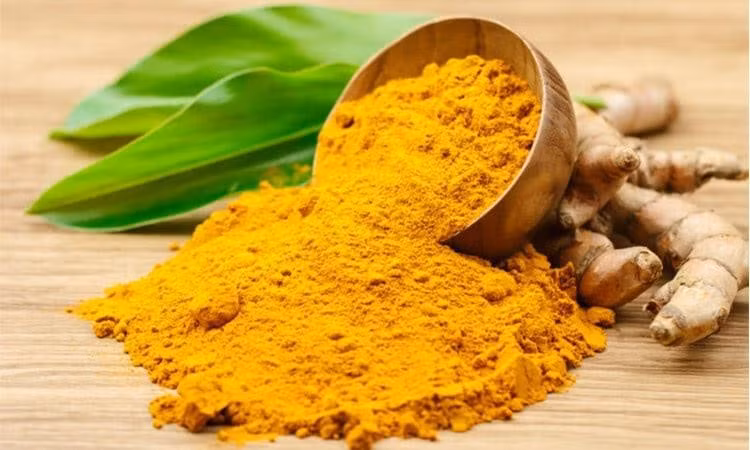 Tinh bột nghệ, một sản phẩm chủ lực của ngành công nghiệp thực phẩm Việt Nam, cũng đang có sự tăng trưởng đáng kể trong xuất khẩu, đặc biệt đối với Mỹ, Nhật Bản, Hàn Quốc, Đài Loan và các nước châu Âu.