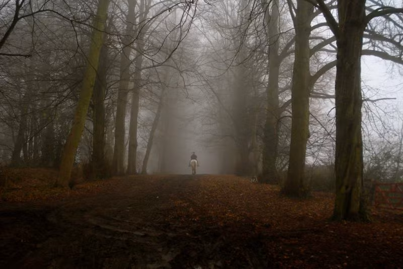  Khu rừng gào thét kỳ bí Dering Woods nằm cách ngôi làng Pluckley, Kent, Anh khoảng 3 km. Nơi đây nổi tiếng với việc xảy ra hiện tượng kỳ bí.