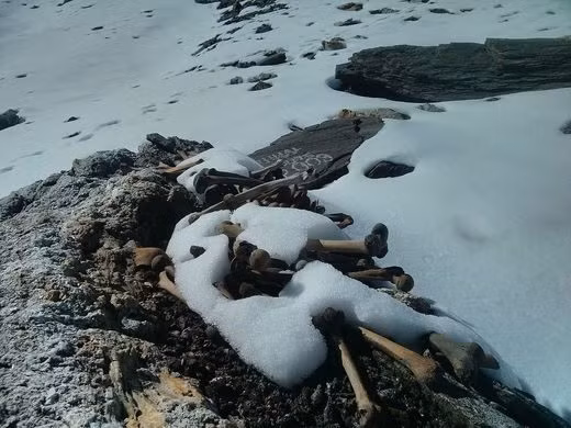 Trước những bí ẩn lớn về hồ Roopkund, các chuyên gia, nhà khoa học đã vào cuộc điều tra và có những kết quả đáng chú ý.