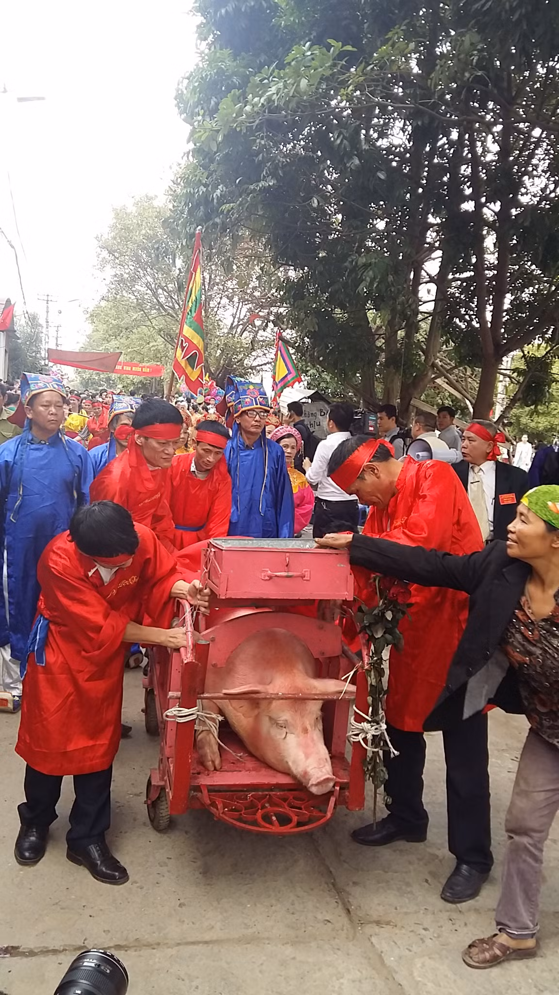 Hai "ông Ỉn" được người dân rước quanh làng, nhiều người dân đã đi theo đoàn rước.