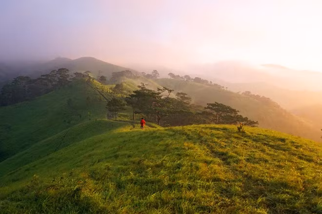 Những tia nắng vàng đầu tiên rải đều trên những ngọn cỏ và từng làn sương mỏng bay lãng đãng bên sườn đồi khiến người đi như có cảm giác đang lạc vào thiên đường nơi hạ giới.