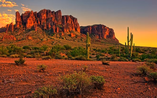  Sa mạc Sonoran, Mỹ và Mexico: Sa mạc này có nhiều khu vực được bảo vệ như khu bảo tồn thung lũng Coachella hay công viên quốc gia Joshua. Dù có môi trường khắc nghiệt, Sonora vẫn là nơi sinh sống của nhiều loại động thực vật. Đây là nơi duy nhất trên thế giới nơi xương rồng Saguaro mọc trong tự nhiên.