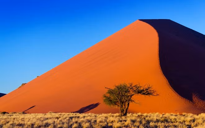 Sa mạc Namib: Trải rộng 81.000 km² ở phía tây nam châu Phi, Namib gần như không có người sinh sống, trừ một số cụm dân cư nhỏ. Với những biển cát rộng lớn gần bờ nước tới các dải đá hiểm trở sâu trong đất liên, sa mạc có hệ động vật hoang dã phong phú, trong đó có nhiều loài quý hiếm như tê giác đen, báo đốm, ngựa vằn.