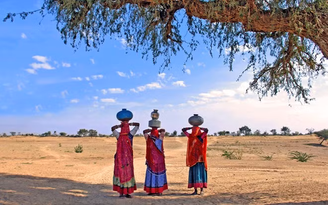  Sa mạc Thar: Sa mạc này bao phủ một phần Rajasthan (Ấn Độ), một phần Punjab và Sindh ở Pakistan. Thar có những khu vực đất cát và thảo nguyên, với hệ động vật phong phú và những cây keo tuyệt đẹp. Du khách có thể trải nghiệm cảm giác cưỡi ngựa trên thảo nguyên ở đây.