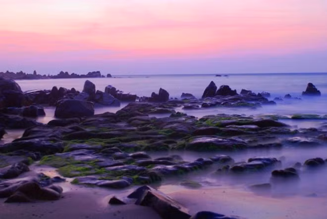 Bãi rêu Cổ Thạch (Bình Thuận).