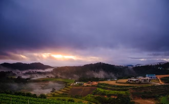 Bình minh sương mù vào mùa mây luồng ở Đà Lạt. Những ruộng bậc thang cho ta cảm giác như ở vùng Tây Bắc.