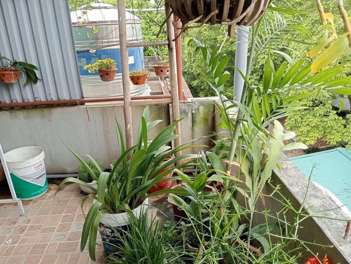 Am anh cac vu chay, toi quyet khong han loi thong sang nha ben