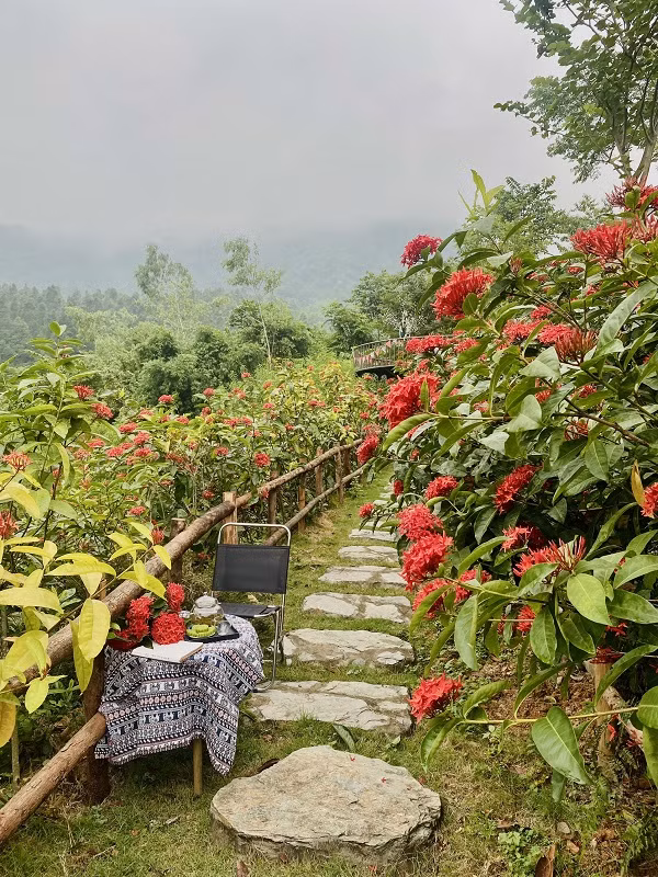 Me man khu vuon 3.000m2, ruc ro o ngoai thanh Ha Noi-Hinh-2