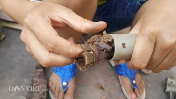 Dựa vào khẩu vị, sở thích của lươn đồng, các thợ bẫy lươn đồng luôn chọn làm mồi bằng cá, ốc, ếch để bẫy chúng. “Chỉ cần làm nhuyễn mồi cá, ếch cho vào ống, khi đặt xuống các nơi có lươn sống đảm bảo sẽ dụ và bẫy được chúng dễ dàng” – anh Tuấn chia sẻ với phóng viên Nhà nông/báo điện tử Dân Việt. 