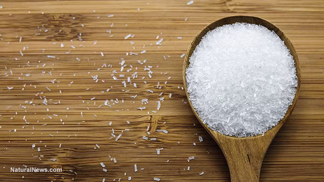 Mì chính là một dạng muối của axit glutamic và là một chất truyền dẫn thần kinh. Mì chính có thể kích thích quá mức các tế bào đến mức bị hỏng hoặc chết, gây mất chức năng não và phá hủy não ở nhiều mức độ, gây ảnh hưởng đến tiếp thu, rất nhiều các món ăn hàng ngày đều có mì chính. 