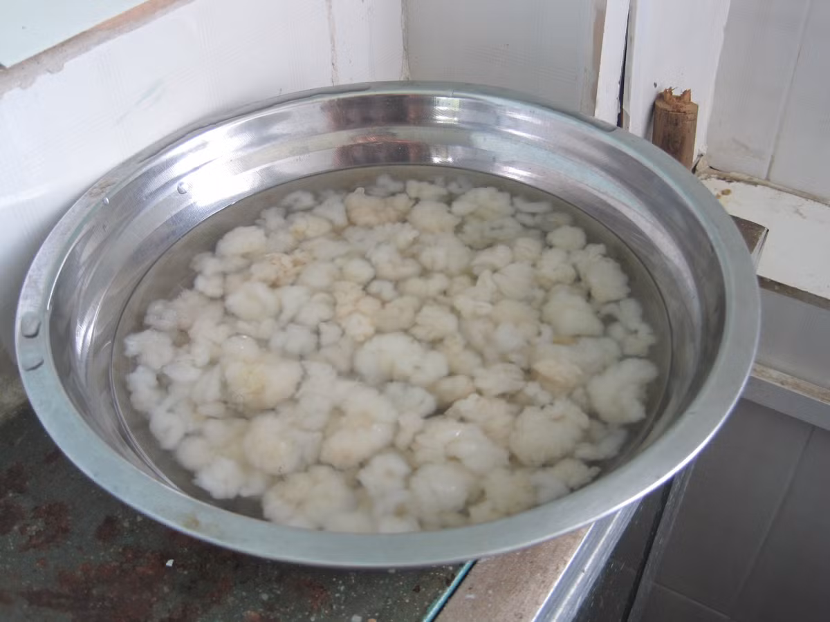Vòi trứng của ếch được lấy từ ếch cái. Ếch sau khi bắt sẽ đem phơi khô vừa đủ để có thể tách được lớp mỡ xung quanh buồng trứng và ống dẫn trứng. Vì chứa nhiều hormone và lipid nên vòi trứng ếch được dùng để nấu các món canh cần vị ngọt để canh không bị loãng. 
