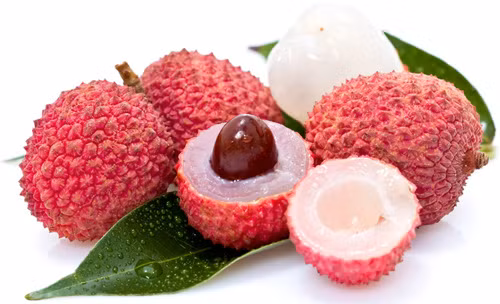 Một báo cáo gần đây tiết lộ nguyên nhân là do các độc tố có trong quả vải chưa chín. Ở những người có thể trạng đường huyết thấp hoặc suy dinh dưỡng thì những độc tố này sẽ làm hạ đường huyết. Điều này đặc biệt nguy hiểm, nhất là trong lúc ngủ - thời điểm mà đường huyết giảm xuống tự nhiên. Ngoài ra, độc tố này còn có thể gây bệnh não. 