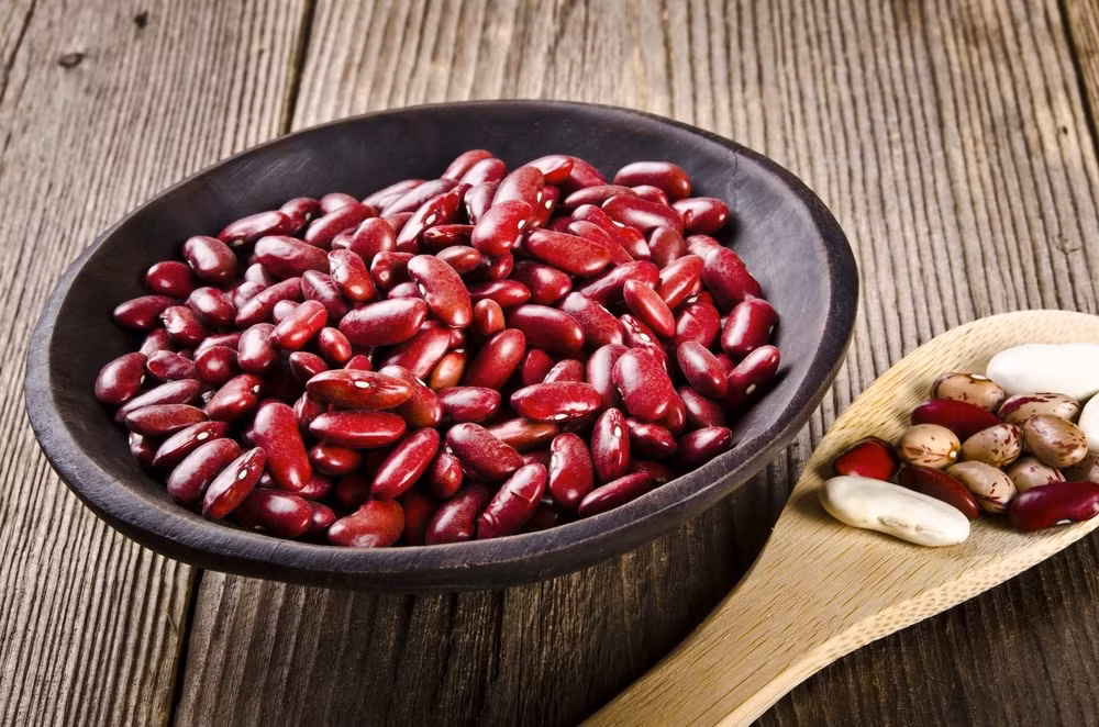 Đậu thận đỏ có chứa độc tố phytohaemagglutinin. Để loại bỏ độc tố này, phải luộc đậu tối thiểu 10 phút trước khi chế biến. Sau khi sôi, tuyệt đối không nên đun đậu bằng lửa nhỏ trong thời gian dài vì làm như vậy sẽ làm tăng độc tính của đậu thận đỏ. Các triệu chứng khi ăn phải đậu thận vẫn còn độc tố là nôn mửa nặng. (Ảnh: Authority Nutrition) 