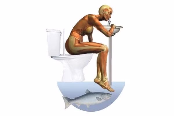 Công dụng của nước tiểu đã được nhiều người quảng bá nhưng không phải ai cũng tin. Hiện chưa có đủ cơ sở khoa học để chứng minh tác dụng của nước tiểu đối với cơ thể và đồng thời cũng chưa có đủ bằng chứng cho thấy nước tiểu thực sự độc hại. Xung quanh vấn đề này vẫn là một cuộc tranh cãi. 
