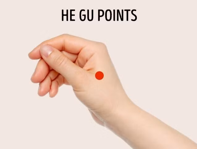 Huyệt hợp cốc: Đây có lẽ là điểm huyệt nhiều người biết nhất, nằm ở màng da giữa ngón trỏ và ngón cái. Có thể lấy tay siết và kéo nhẹ da ở vùng này để giảm đau lưng, đau cổ cũng như đau nửa đầu.