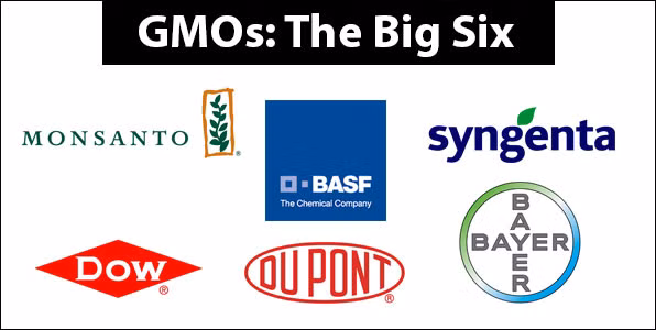 Hiện 6 “ông lớn GMO” trong ngành công nghệ sinh học là 6 nhà sản xuất thuốc trừ sâu và thực phẩm GMO, gồm có BASF, Syngenta, Bayer, Dupont, Dow và Monsanto – cái tên gây chú ý nhất vì không chịu tương tác với cộng đồng để giải đáp thắc mắc về thực phẩm GMO. Số còn lại lại thường hay lẩn tránh khi được các nhà khoa học không chuyên tiếp cận. (Ảnh: Geneticliteracy)