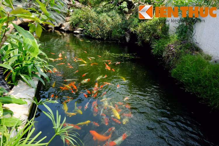 Người yêu thiên nhiên sẽ rất thích thú trước vẻ đẹp nhân tạo nhưng hoang sơ, tự nhiên này.