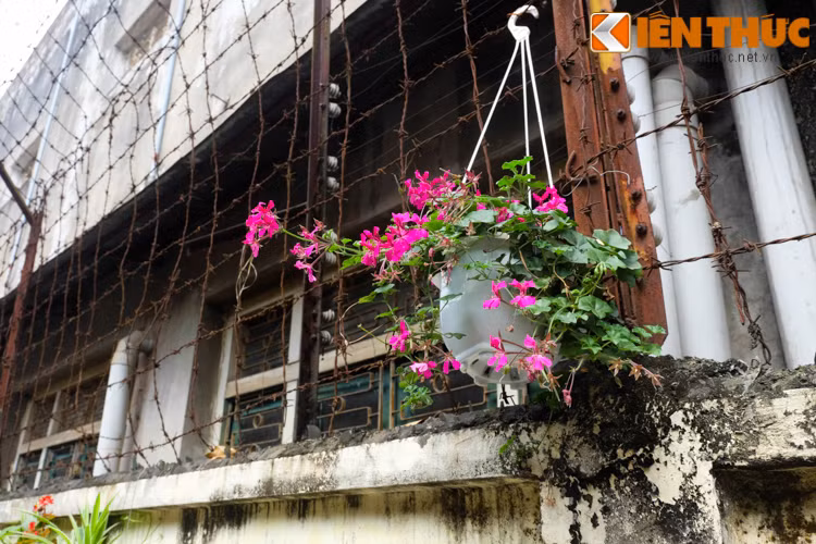Ngõ nhỏ thêm sáng, đẹp nhờ cách trang trí này.