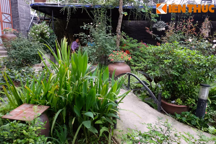 Các không gian ngồi thưởng thức đồ uống, cà phê của khách đều tiếp xúc với thiên nhiên mà vẫn đảm bảo sự riêng tư ngăn chia từng bàn.