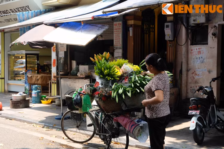 Hoa chỉ nở trong thời gian ngắn nên nhiều người dân tranh thủ mua thật sớm để cắm trong nhà.