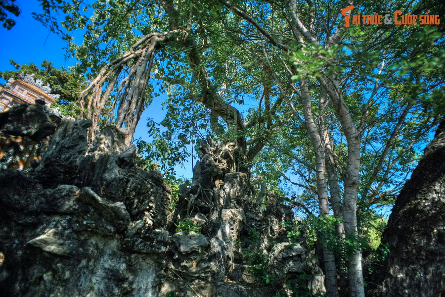 Dù vậy, chính thảm thực vật tự nhiên này đã phá bỏ khuôn mẫu thường gặp trong bài trí hòn non bộ, đem lại sự độc đáo, cuốn hút riêng cho hòn non bộ ở cung Trường Sanh.