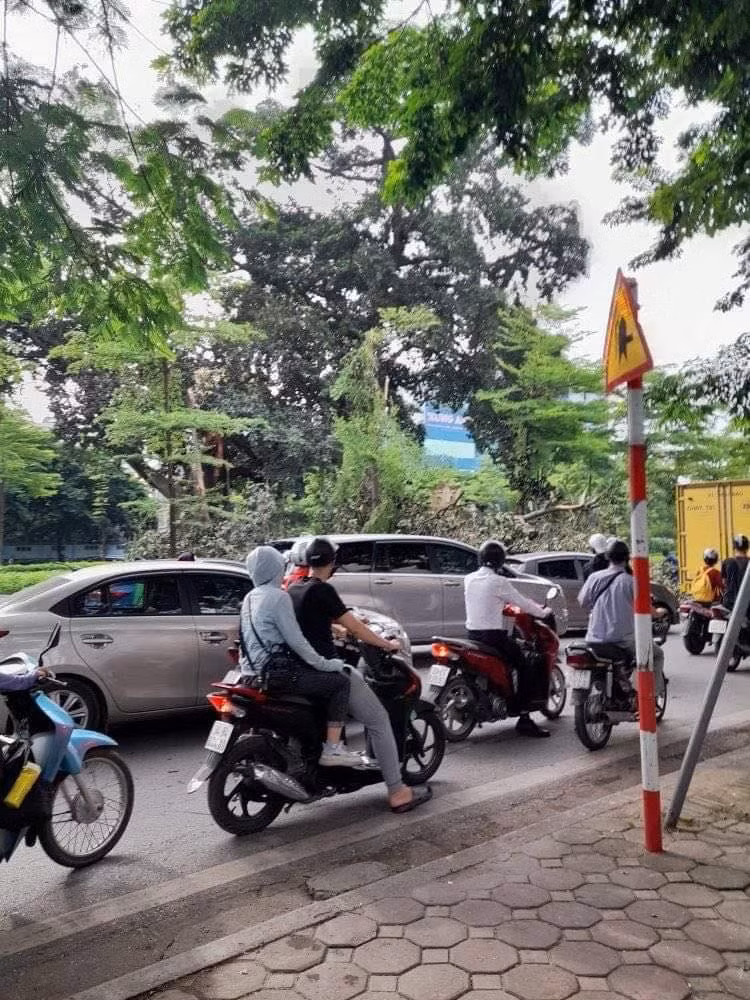 Được biết, cây đa cao 20 mét có tuổi đời trên 100 năm, được coi là linh hồn, tín ngưỡng của cả khu dân cư. Cây có từ 5 đến 6 rễ phụ. Người dân xung quanh đặt ban thờ và thường thắp hương tại đây vào các ngày rằm, lễ...