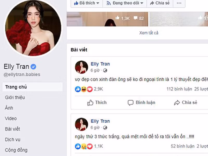 Cách đây ít ngày, Elly Trần bất ngờ bày tỏ đã thức trắng 3 đêm. Ngoài ra, cô còn viết: "Vợ đẹp con xinh đàn ông sẽ không đi ngoại tình là một lý thuyết đẹp đẽ".