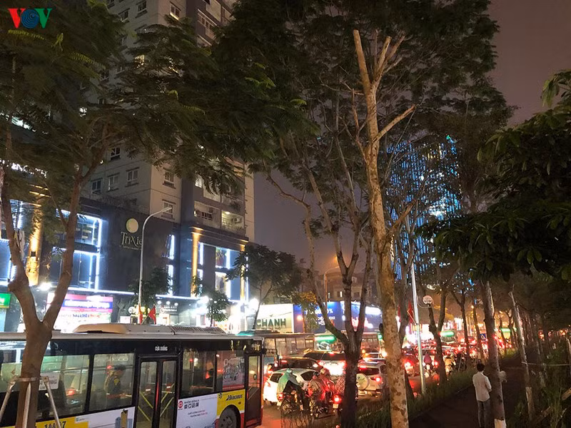 Dòng xe cộ kiên nhẫn chờ đèn.