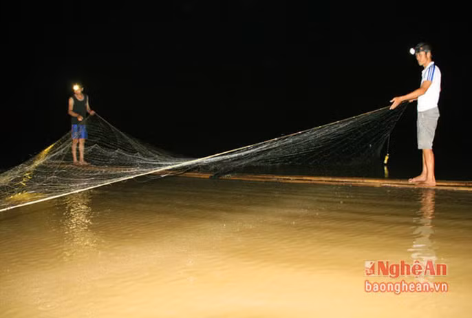 Các loài cá có giá trị cao ở miền Tây Nghệ An đều có đặc tính chung là sống ở vùng nước chảy. Vì thế việc đánh bắt cá hết sức khó khăn. Tuy nhiên, có những hôm may mắn người "săn" cá khủng có thể kiếm được hàng chục triệu trong một đêm.