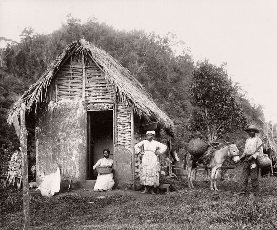 Ảnh chụp tại một vùng quê ở đảo quốc Jamaica hồi thập niên 1890. Ảnh: VT.