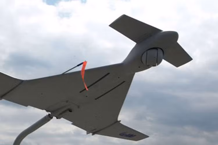 UAV Harop có chiều dài 2,5m, sải cánh 3m, tốc độ hành trình 185km/h.