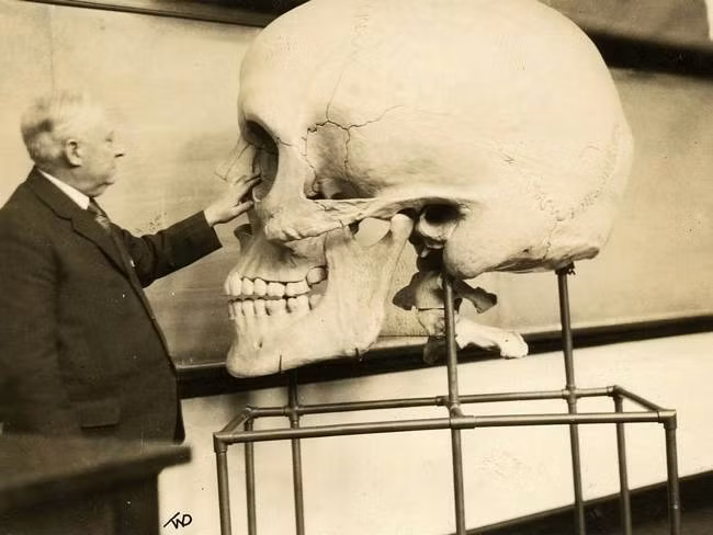 Các nhà khoa học thuộc Trường Y khoa thuộc ĐH Harvard (Mỹ) tạo ra hộp sọ khổng lồ này năm 1890, nhằm giúp sinh viên có cái nhìn trực quan và rõ nét hơn về cấu tạo xương sọ của người.