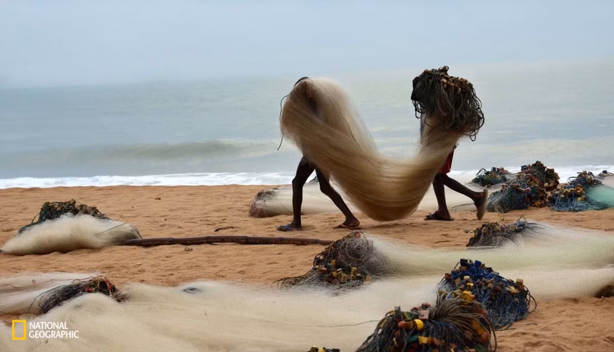 Tác giả Salvatore Valente đem đến cuộc thi ảnh National Geographic 2015 tác phẩm chụp hai ngư dân ở Greater Accra, Ghana mang lưới đánh cá ra thuyền để chuẩn bị cho chuyến ra khơi.