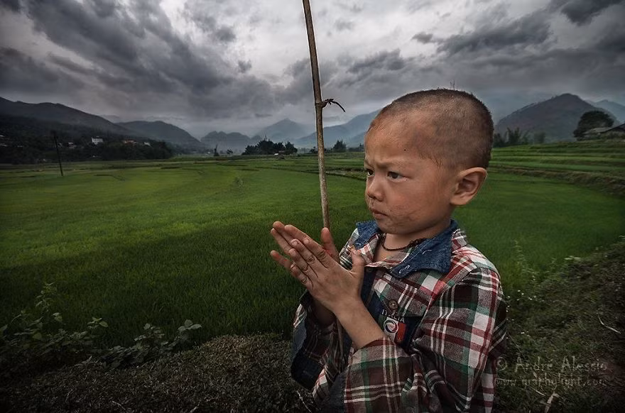 Bé trai vùng cao đứng trước cánh đồng lúa xanh mướt mắt.