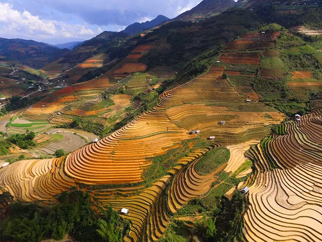 Việt Nam: Những cảnh quan thiên nhiên tuyệt đẹp của Việt Nam, bao gồm những cánh đồng ruộng bậc thang ở Sa Pa đã mang lại cho Việt Nam 1 vị trí trong top 20 quốc gia đẹp nhất trên thế giới của Rough Guides.